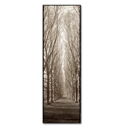 Alan Blaustein 'Hampton Gates Promenade' Canvas Art,16x47